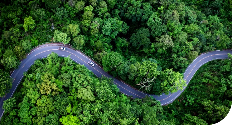 豊かな森を走る車。環境への配慮をイメージした写真